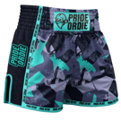 Pride Or Die reckless v2 Thai shorts - grey